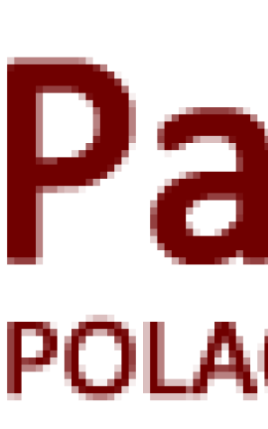 Zarzuty dla Irańczyka