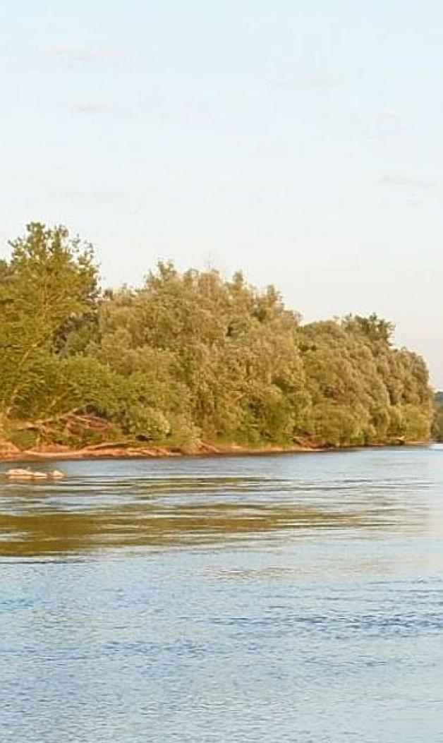 Skok